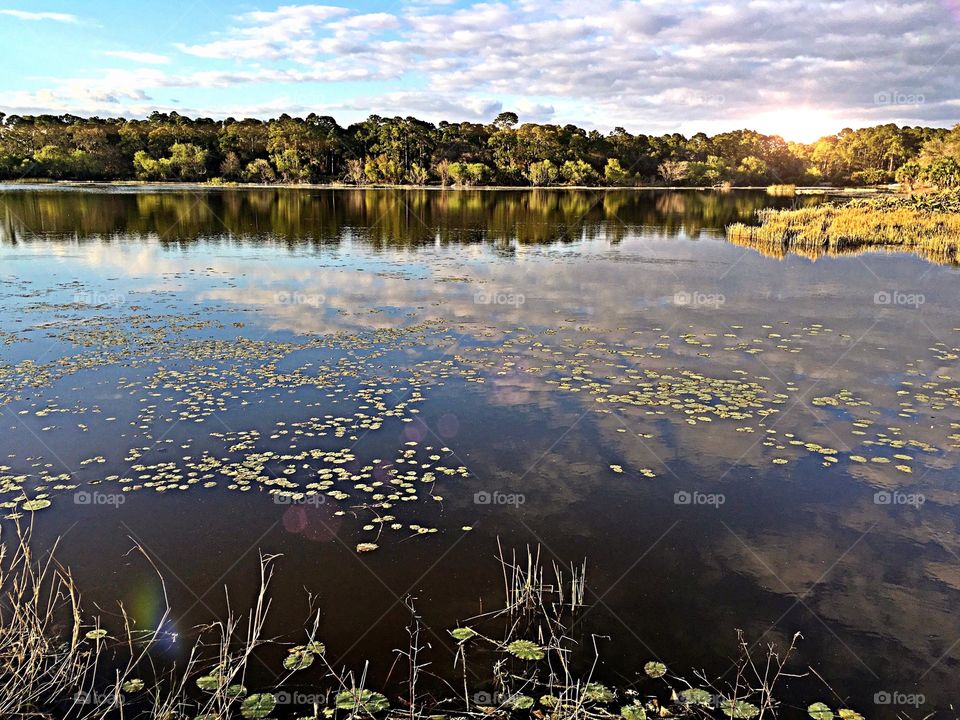 Lakeside view