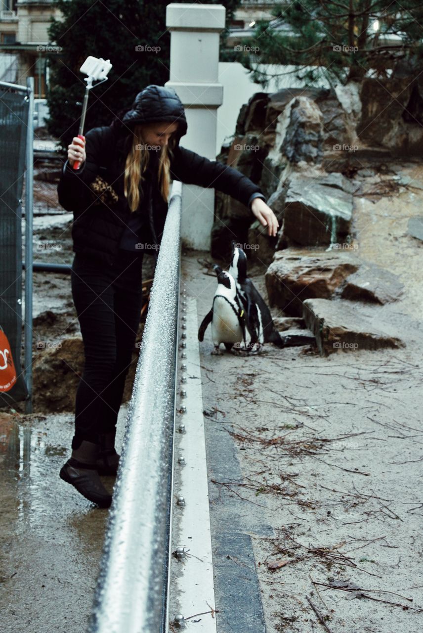 Antwerpen zoo, making friends with penguins