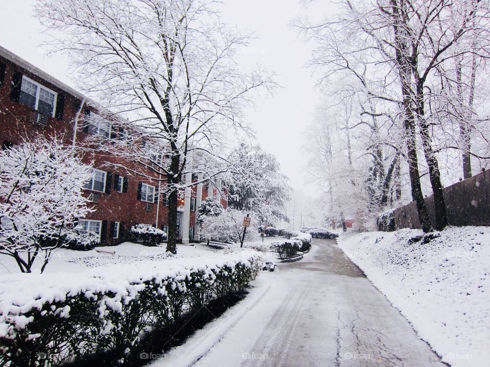 Snow Snow and More Snow