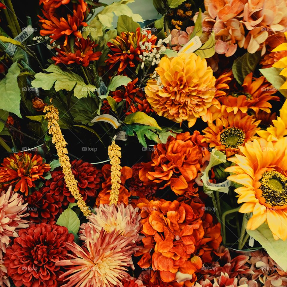 Portrait of A plant. /or many.