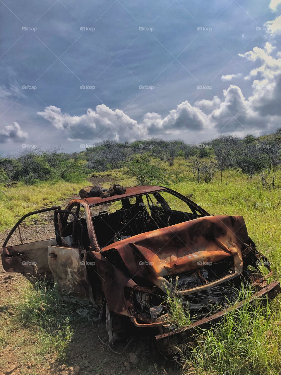 Rusty abandoned car in Hawaii field 