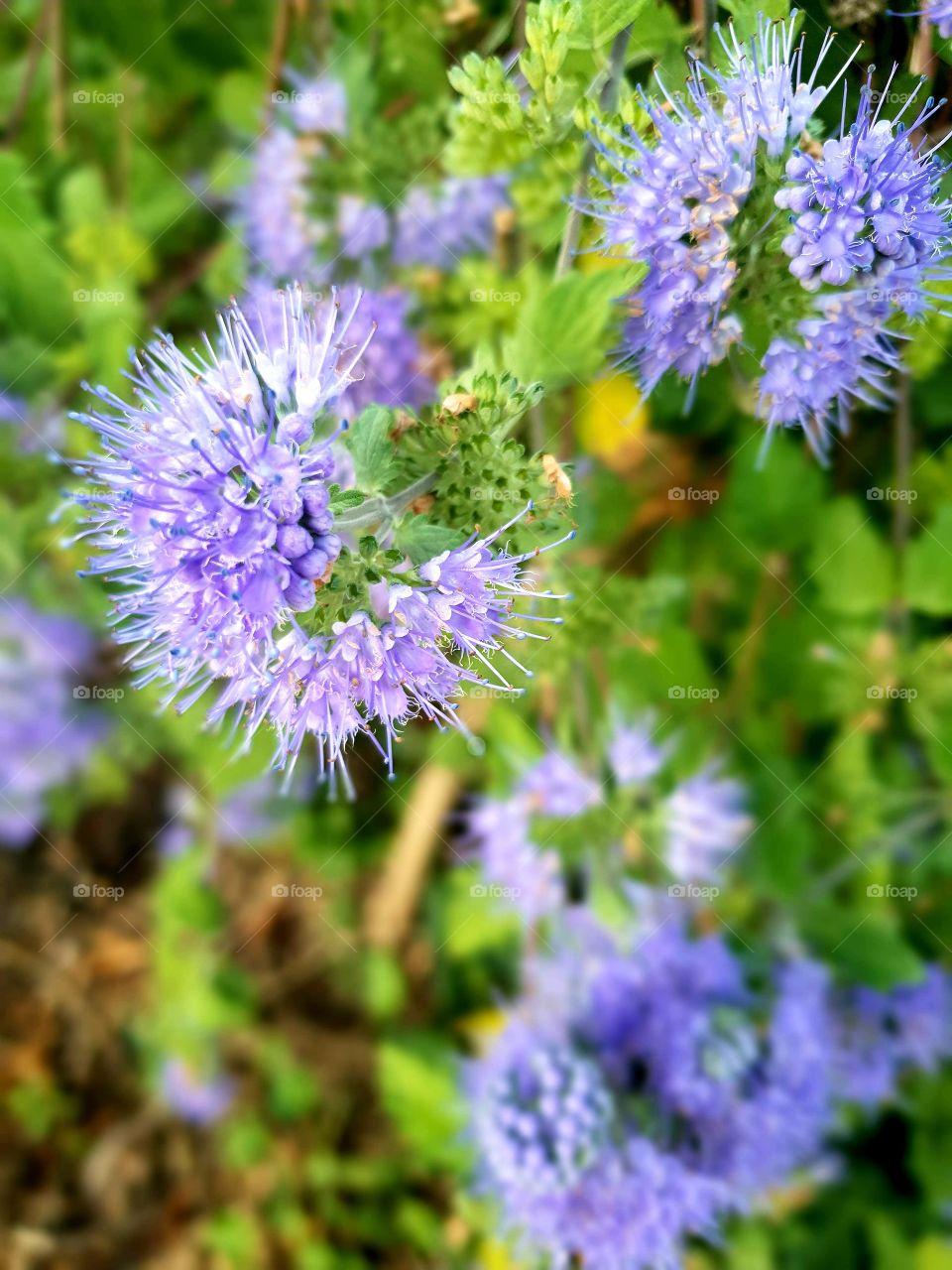 Ein Blick ins Sommer
