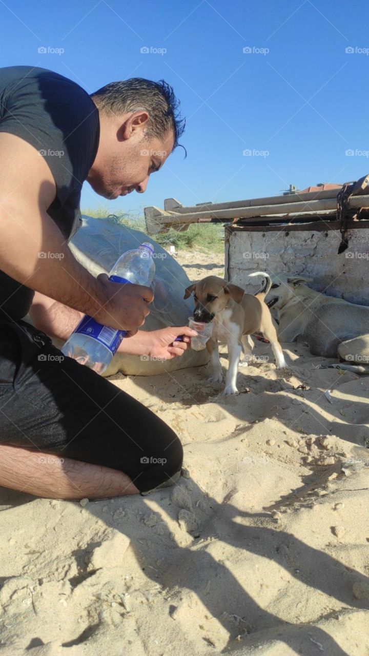 I think it's an image that deserves to win