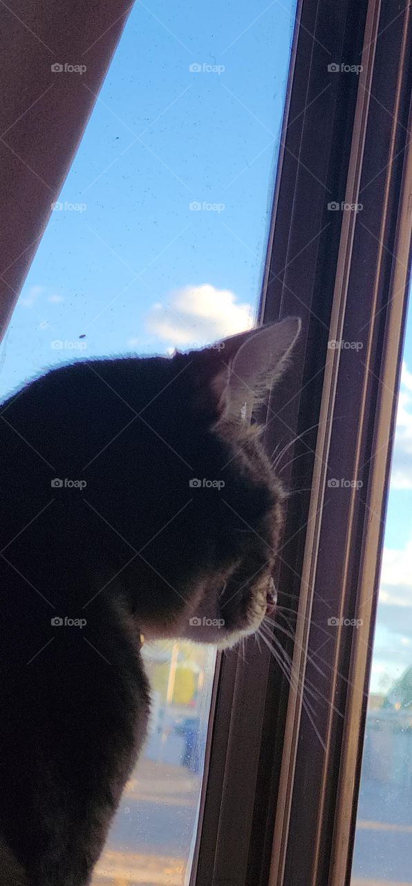 look at the beautiful sky