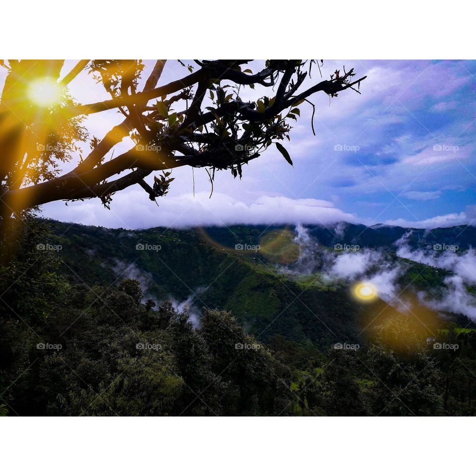 Editors' Choice: Photo of the week