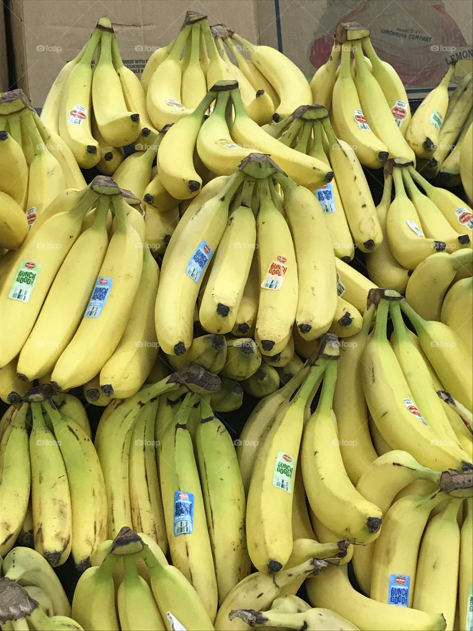 Bundles of bananas at the supermarket. They are good fruits that contain potassium and magnesium, and help the digestive system in one’s body.