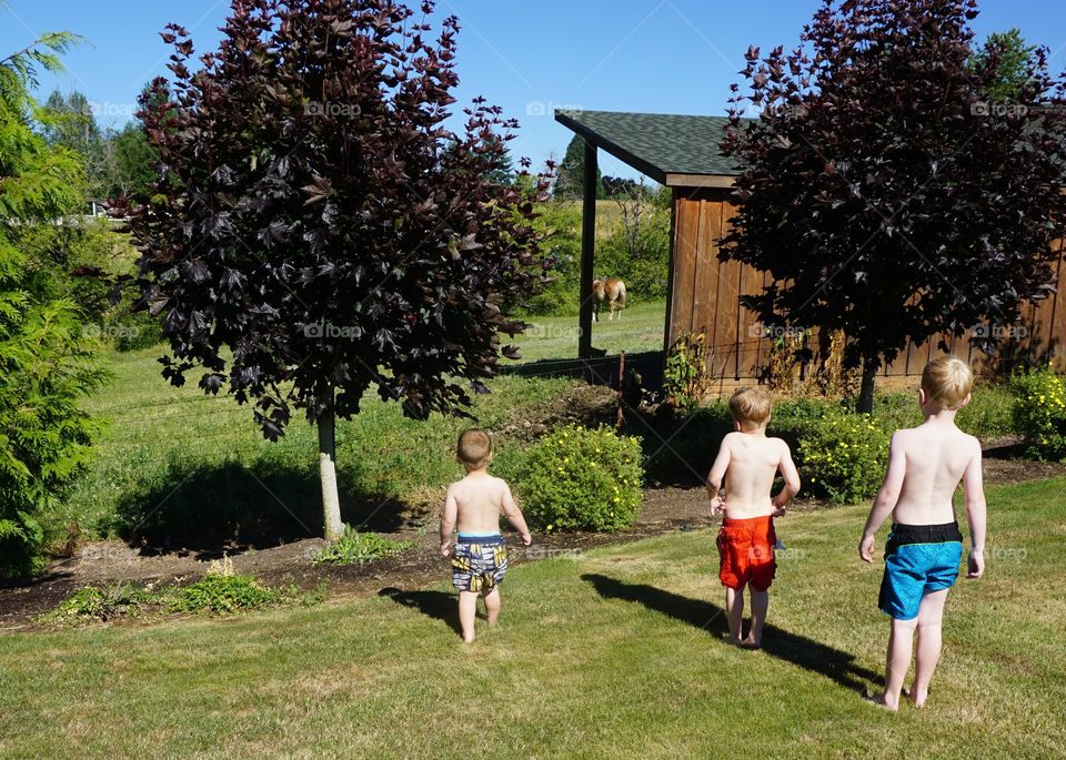 Explorers. My friend's 3 cuties checking out the neighbor's horse and chickens.