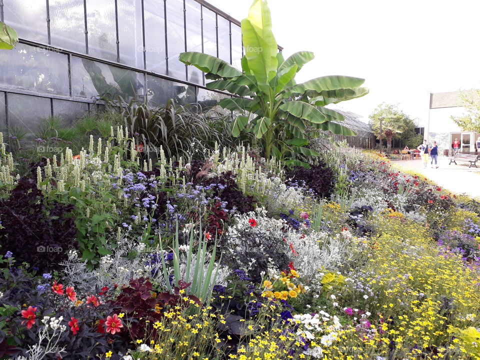 greenhouse parc botanical flower beautiful bench tree garden