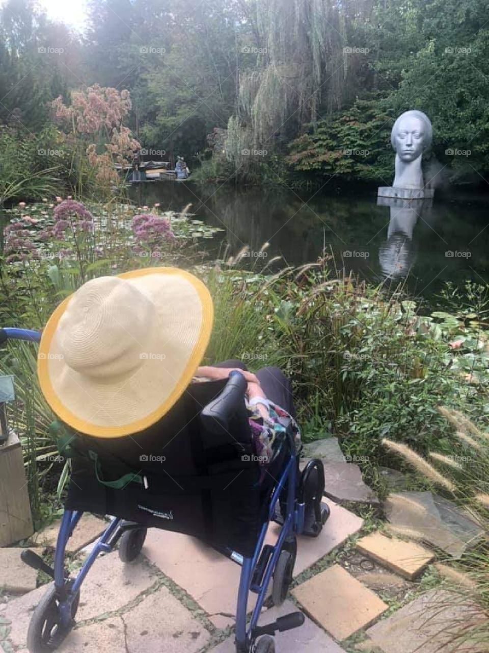 Gazing the Pond from the Wheelchair