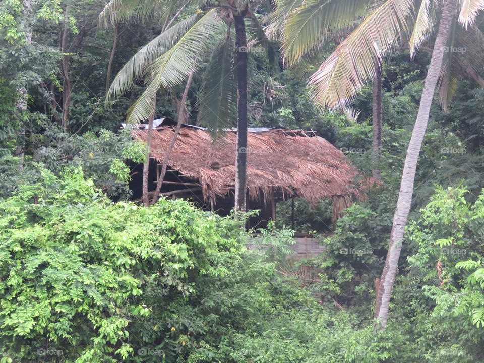 Traditional house in the middle of the forest.