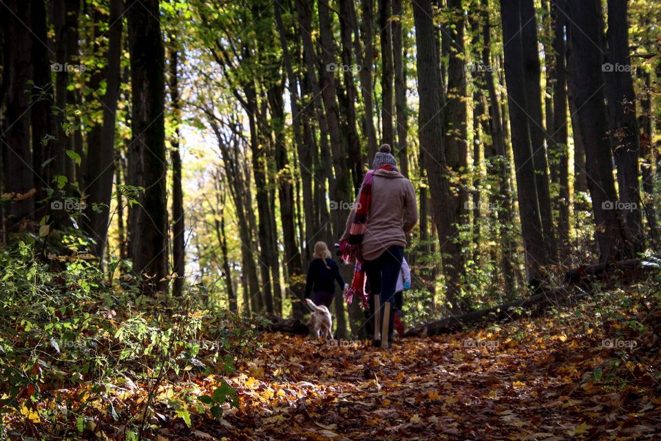 Family on a hike in an autumn forest