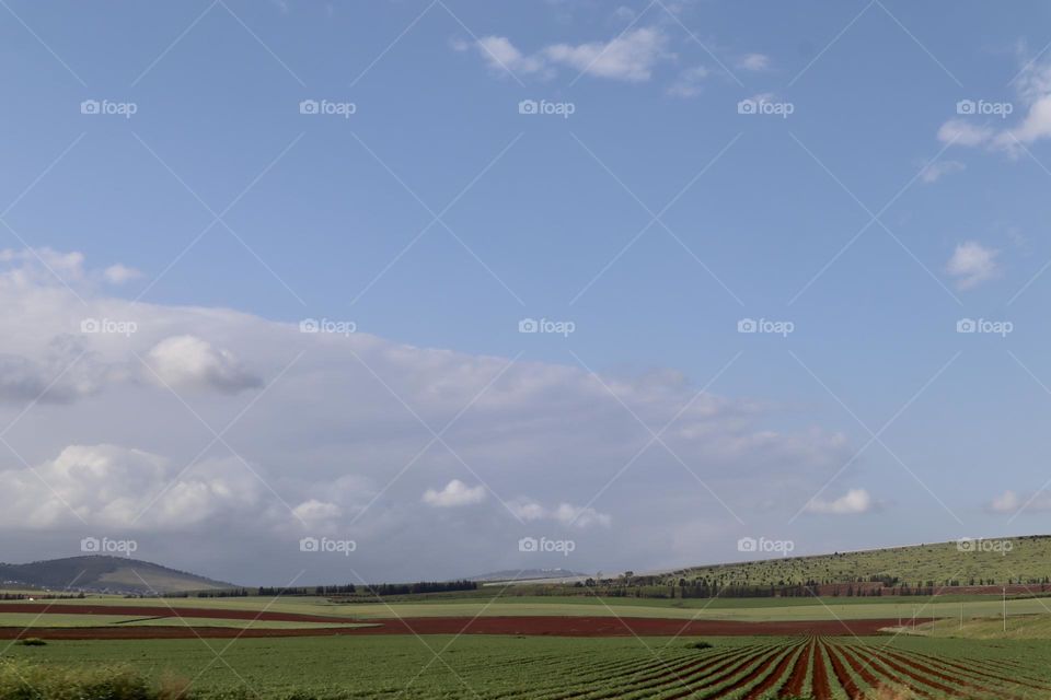 Green fields with blue sky on countryside 