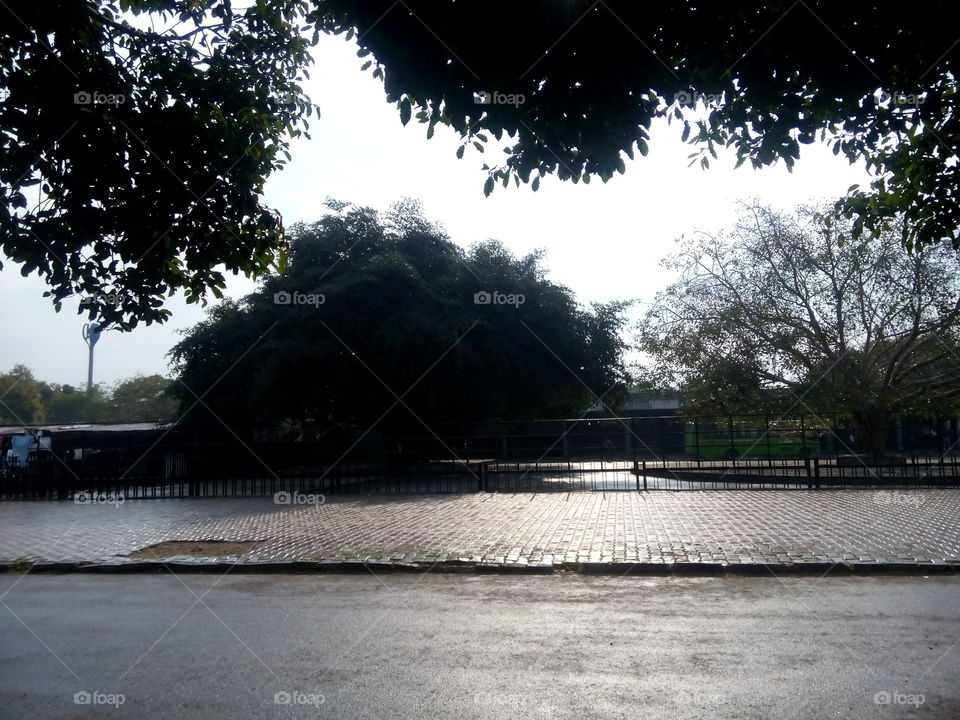 sky cloudy raining weather trees parking