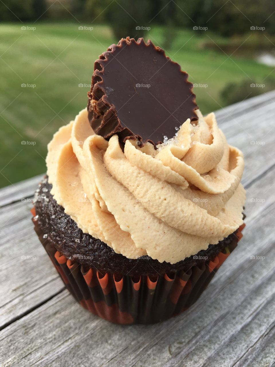 Chocolate Cupcakes with Peanut Butter Buttercream Icing topped with a Peanut Butter Cup