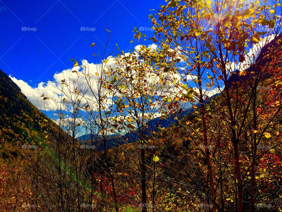 Crawford Notch State Park 