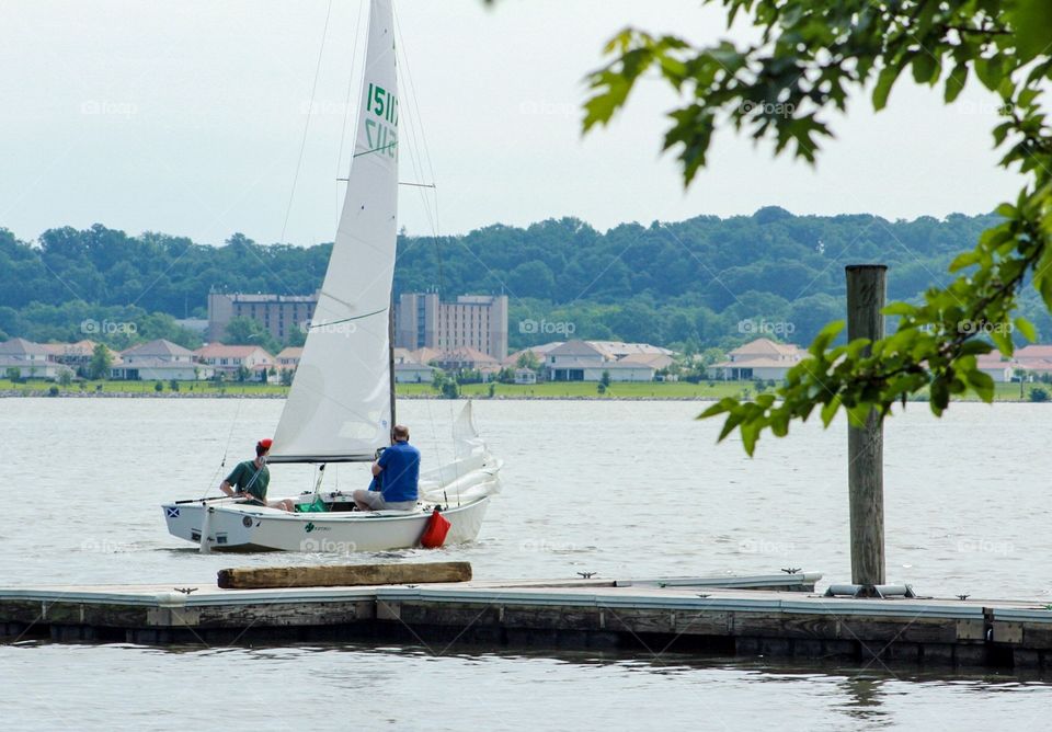 Sailing sailboat 