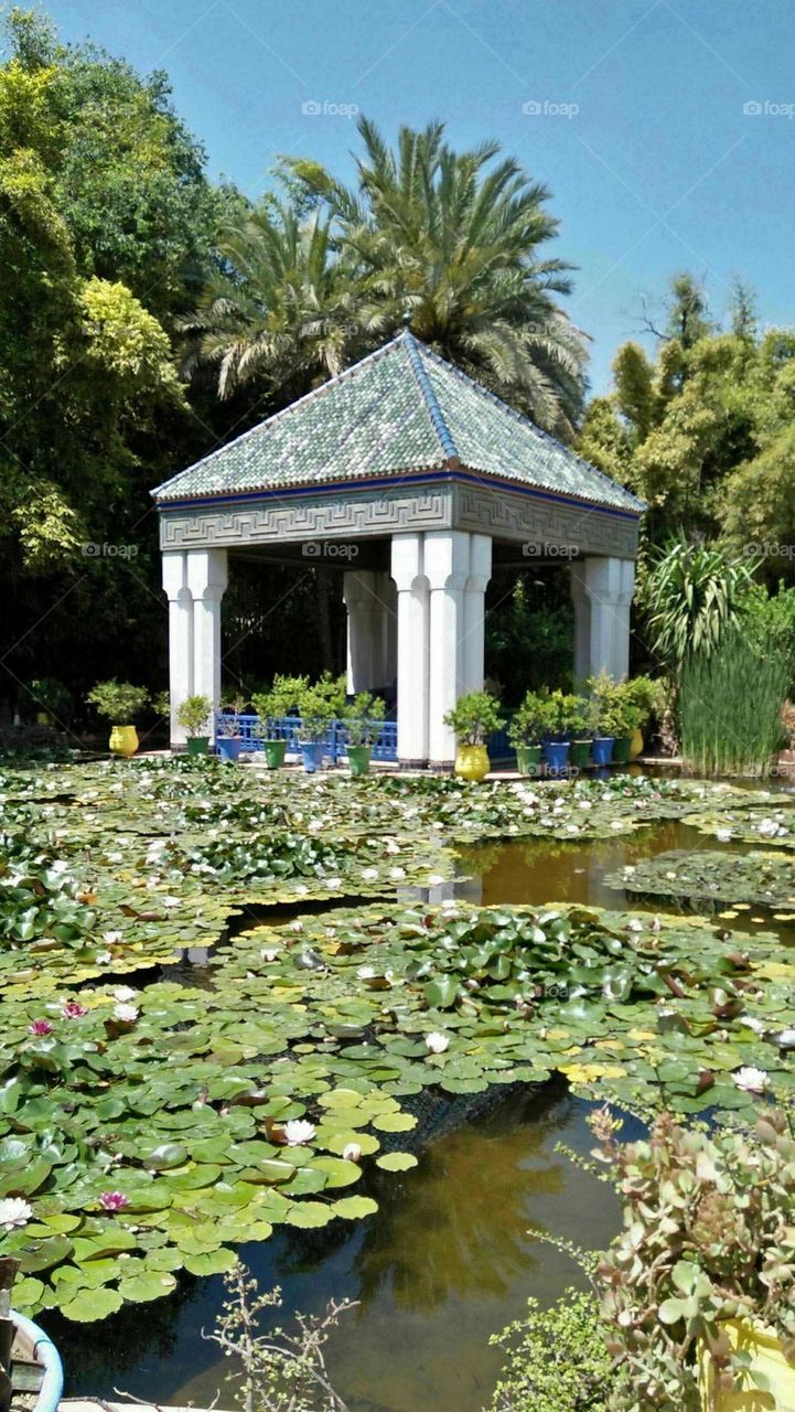 wonderful  majorelle garden in marrakech