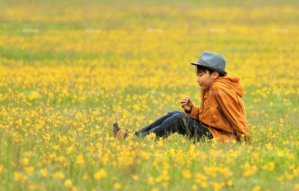 Yellow flowers sea