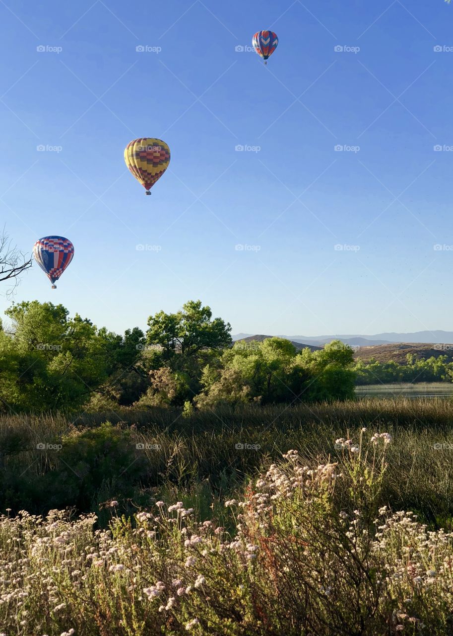 Temecula Wine and Balloon Fest 