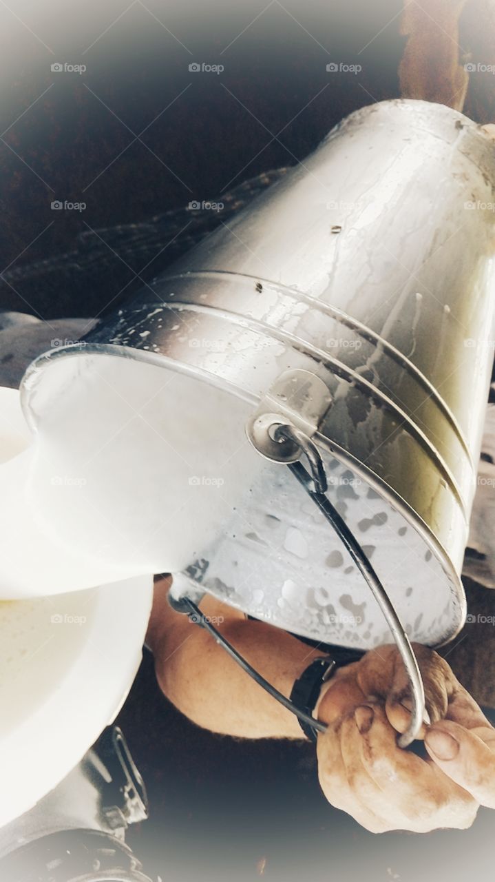 Balde de leite no curral. Coador.