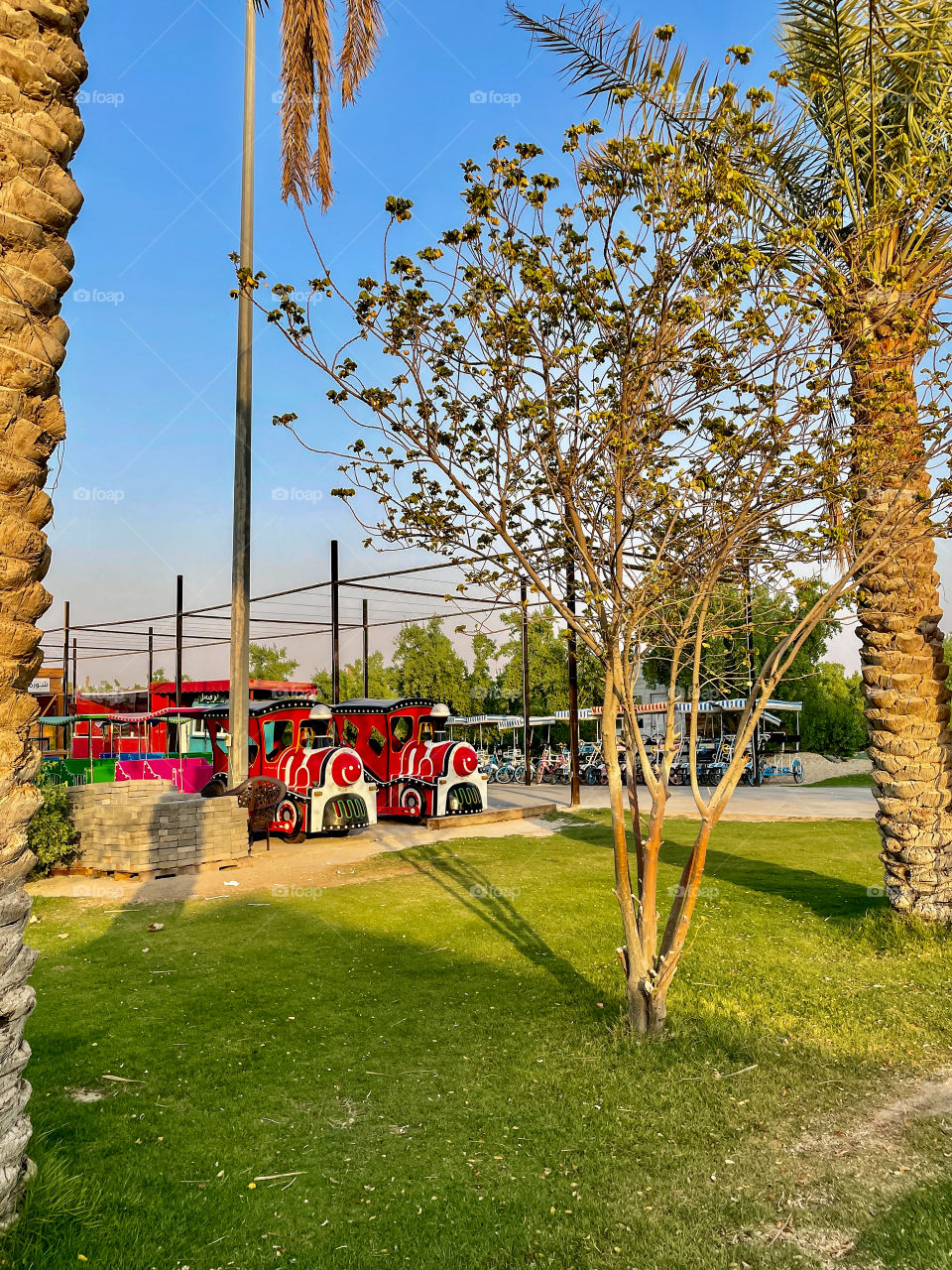 The magical outside .Amusement train cars in a park 