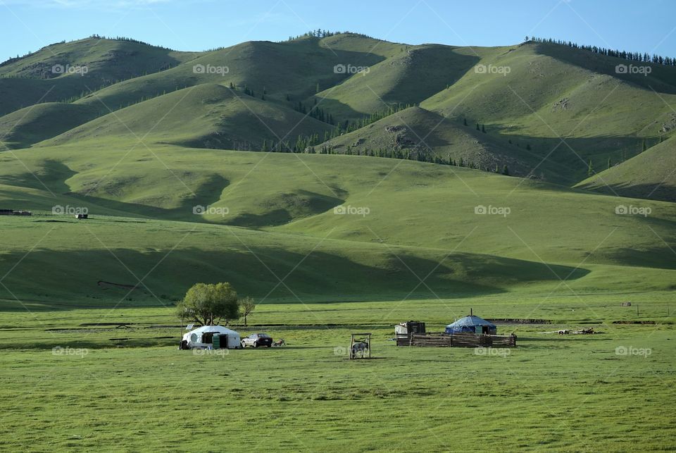 Mongolia: Ocean Of The Green