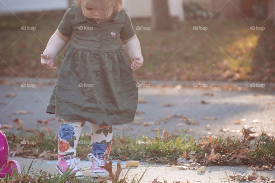 Golden hour in the fall