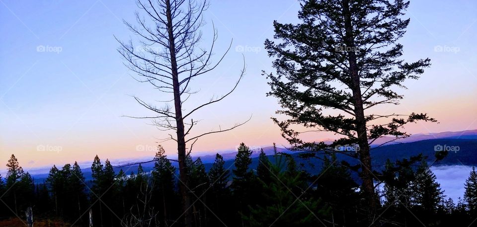 mountain view trees .multi colored horizon