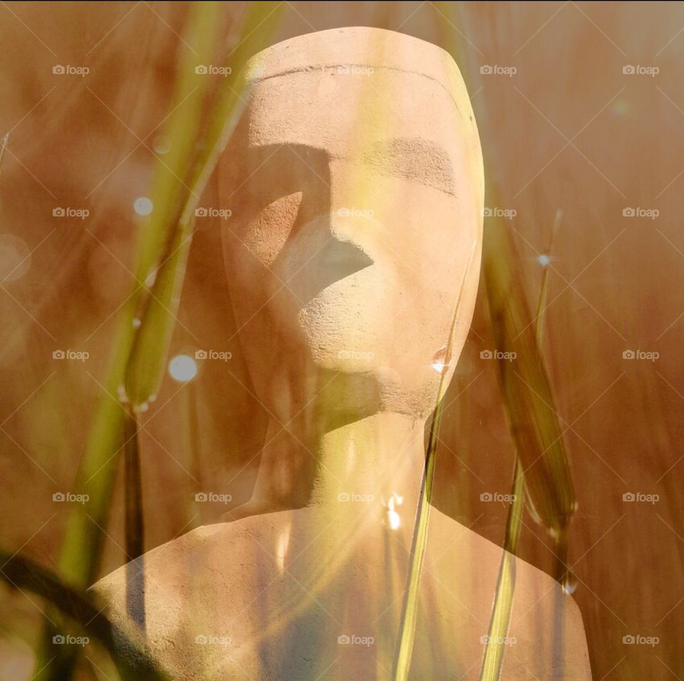 Blending Man. A blended image of a stone statue with golden light an grass.