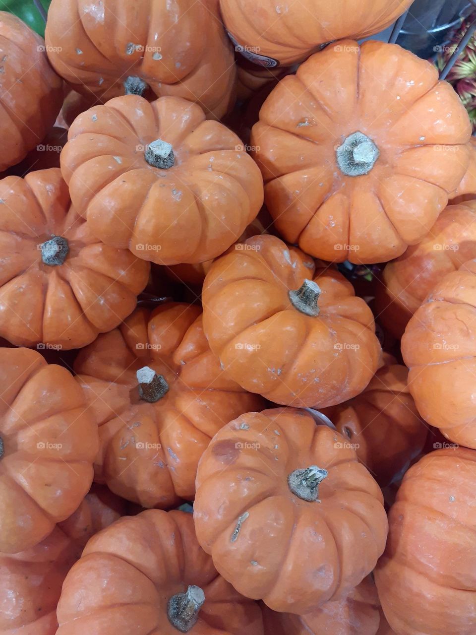 Many orange miniature pumpkins are in a container at a local grocery store in Central Florida.