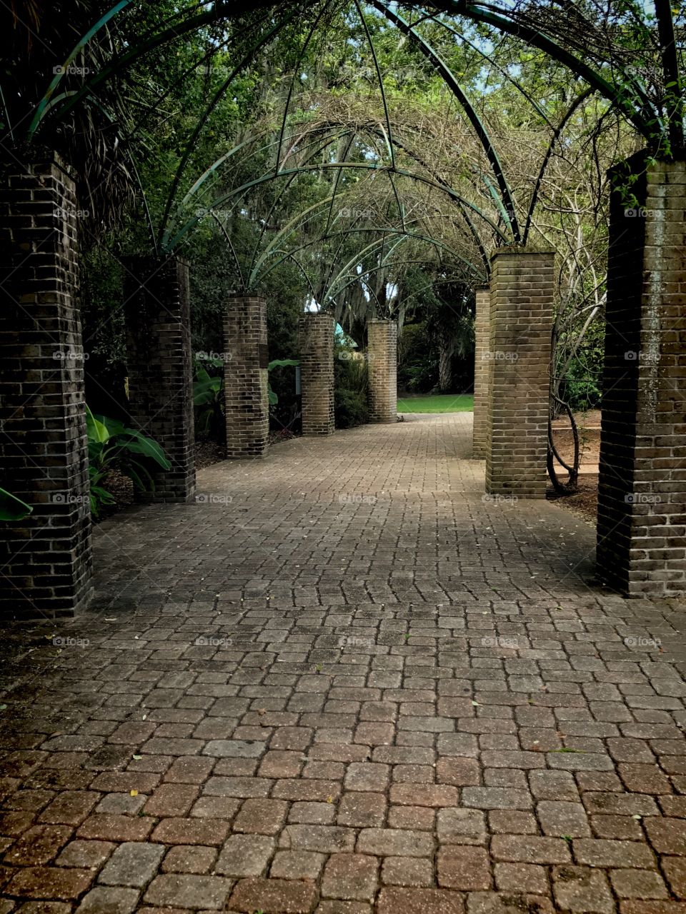 Brick walkway cover with vines park day 