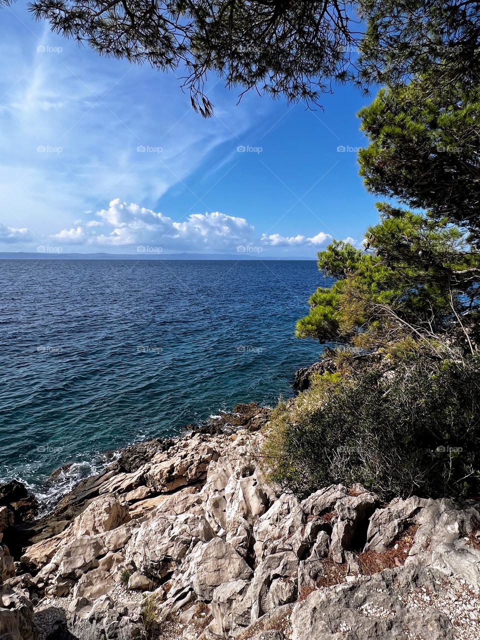 Beautiful landscape view from the rocky shore with coniferous trees over the Mediterranean sea