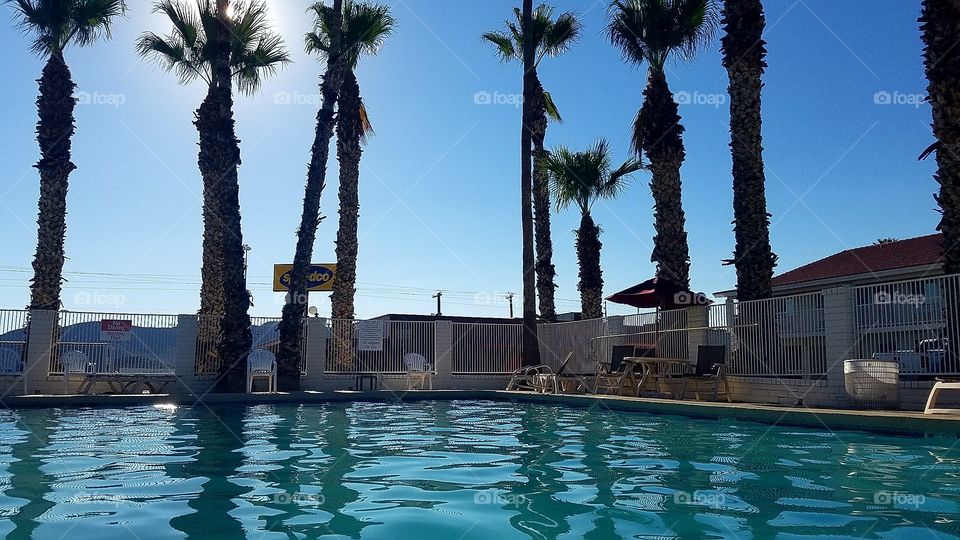 playing in the pool