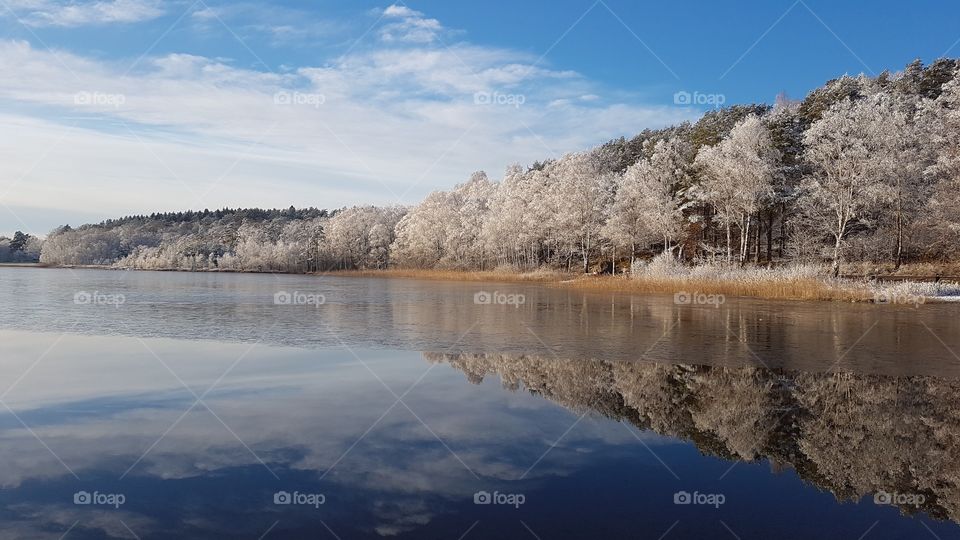 Beautiful winter landscape in snow, forest reflection on the lake - vackert vinterlandskap i snö , skog reflektion på spegelblank sjö
