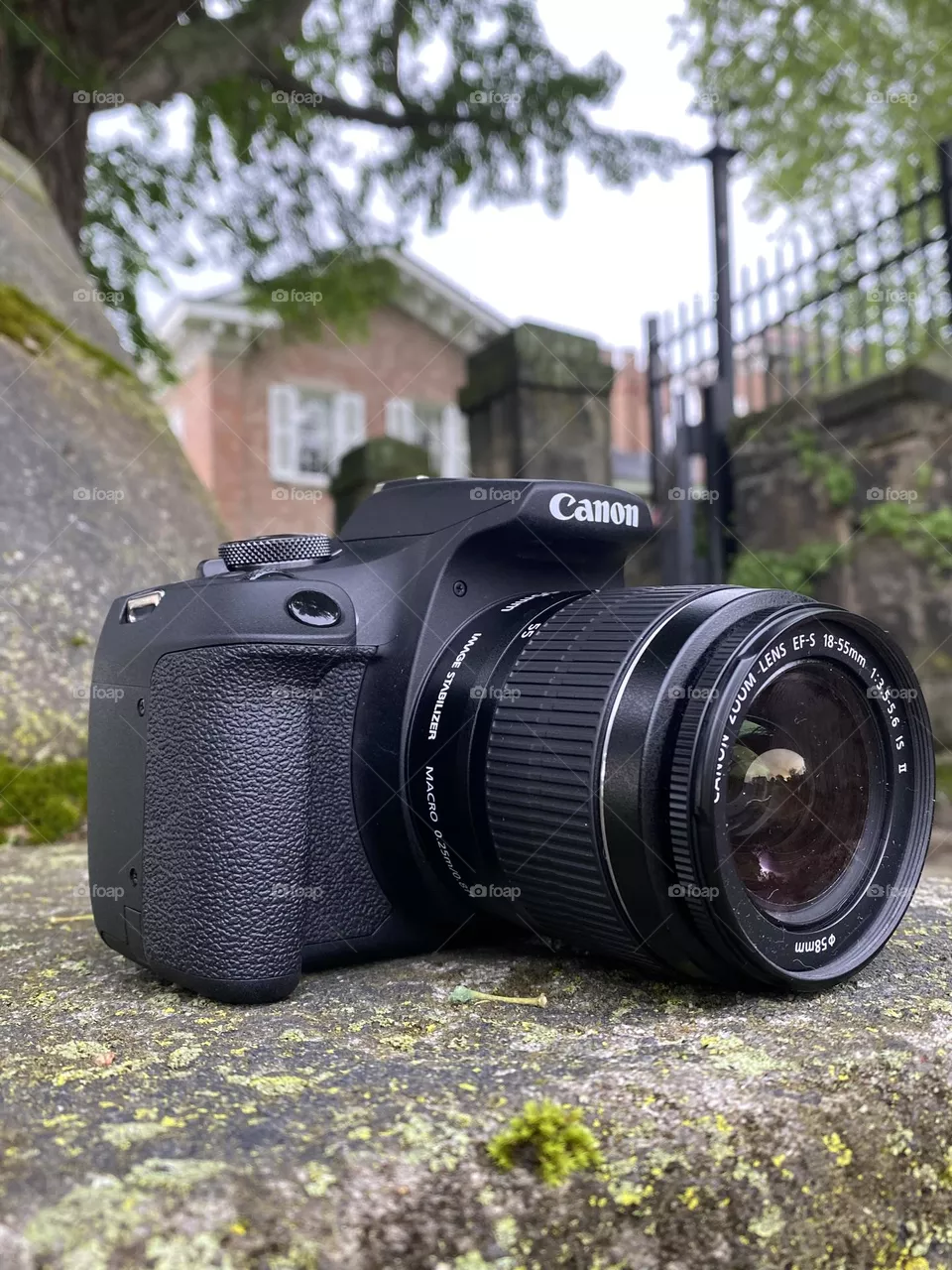 Camera obscura 