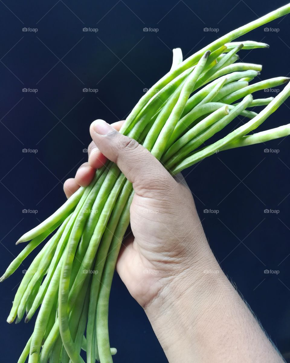 A person holding green beans