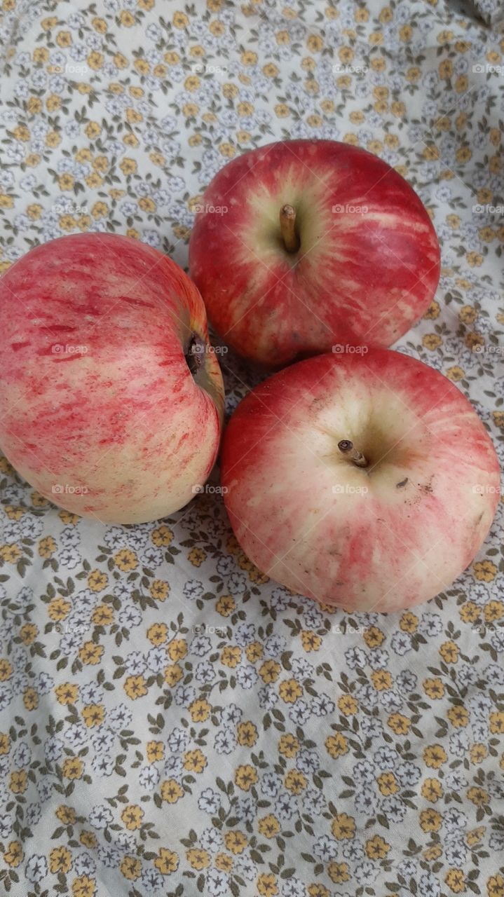 apples