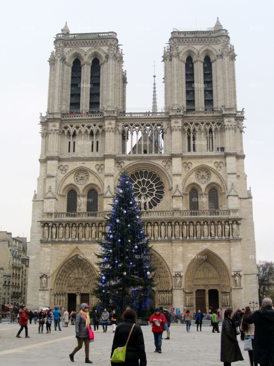 Notre dame