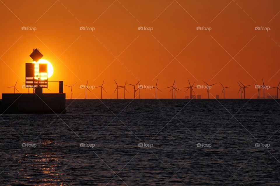 Park of wind mills in sunset