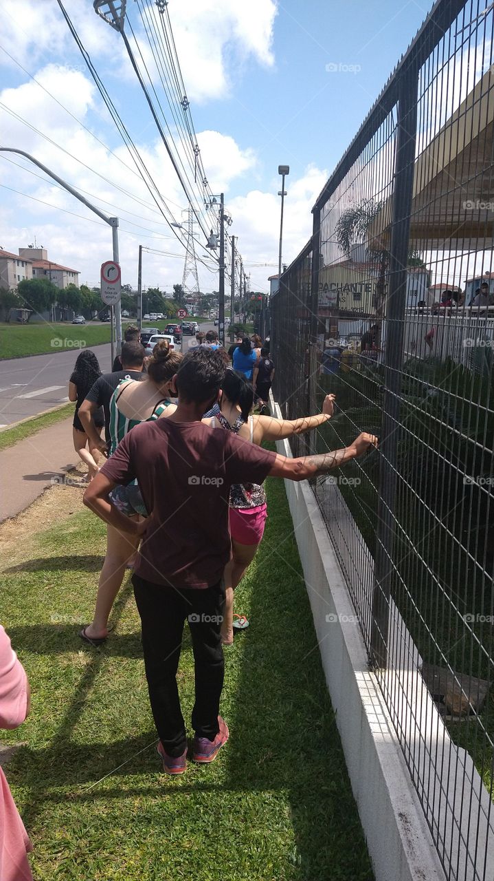 Sitio cercado Curitiba PR Brasil