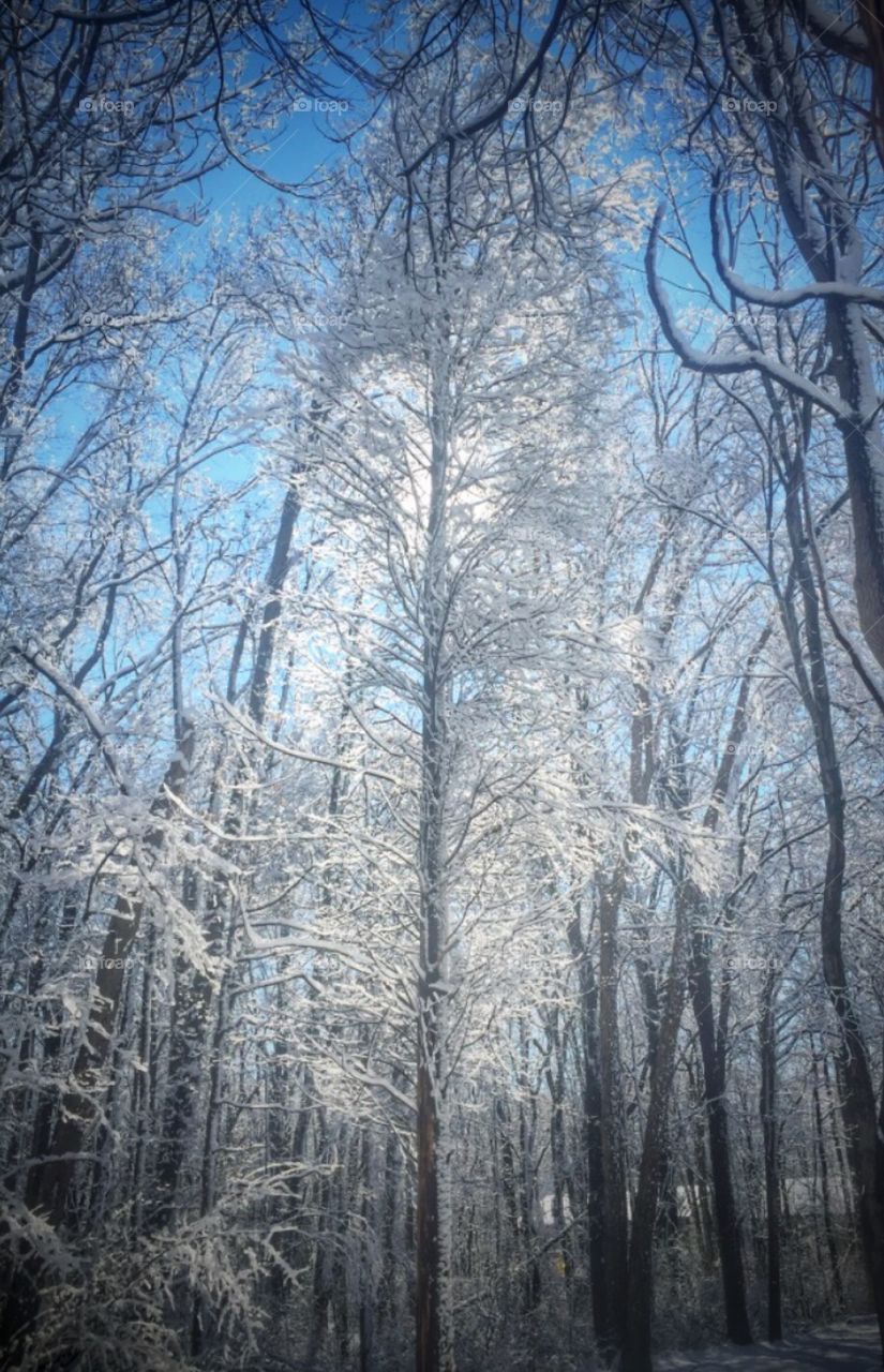 Brilliant bright winter day