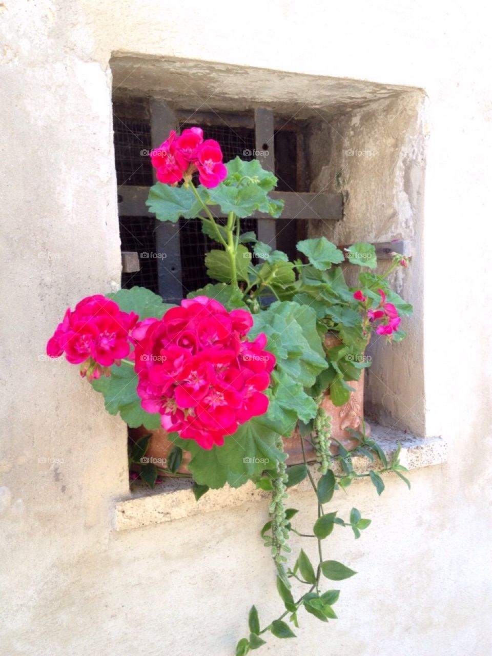 Window in stone wall