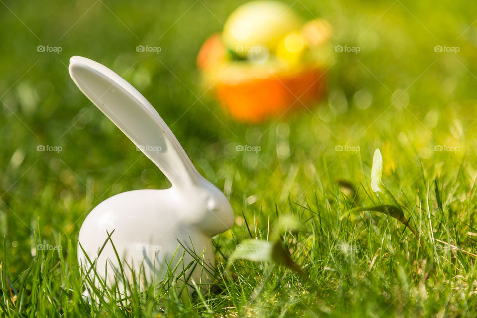 Easter decoration in garden  . Easter decoration with busy and eggs on grass in garden.
