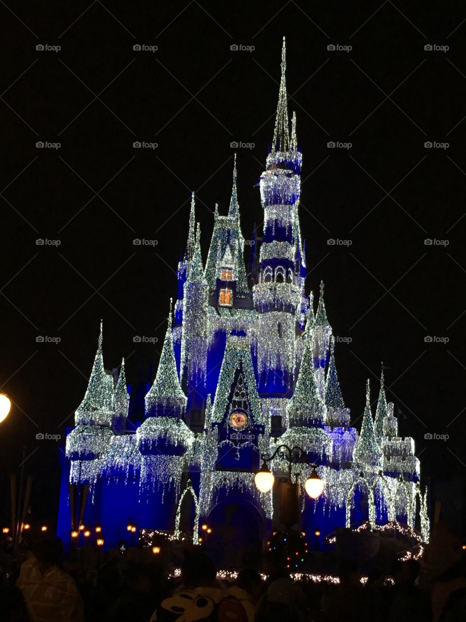 Cinderella Castle. Covered in icicle lights - Christmas 