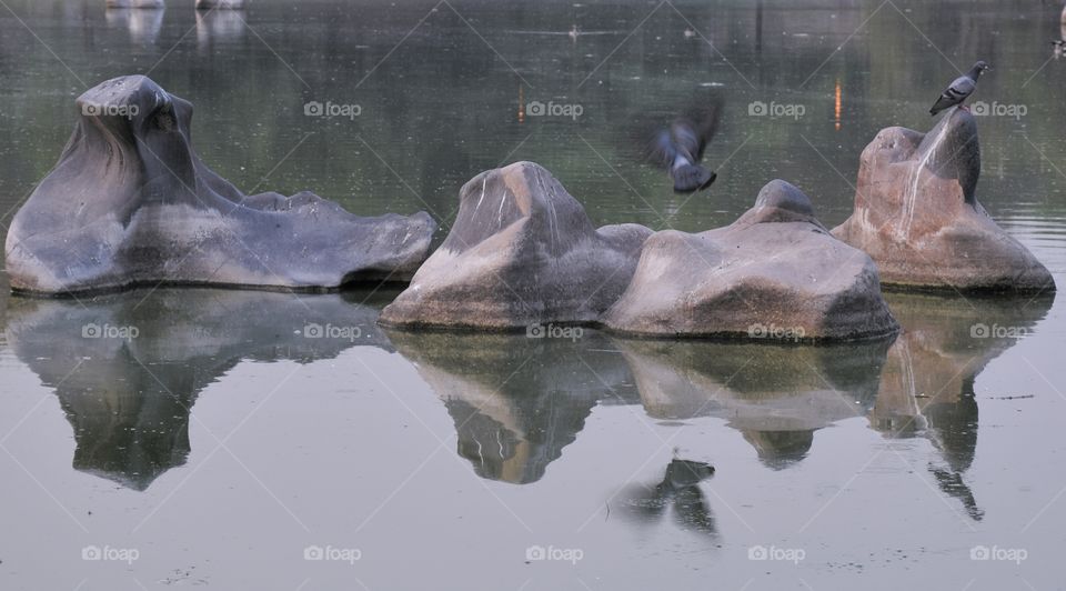 when the moment is right