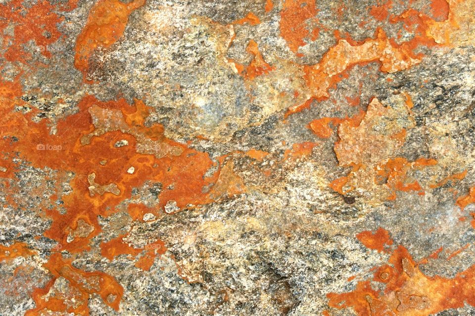 rock background with orange lichen.