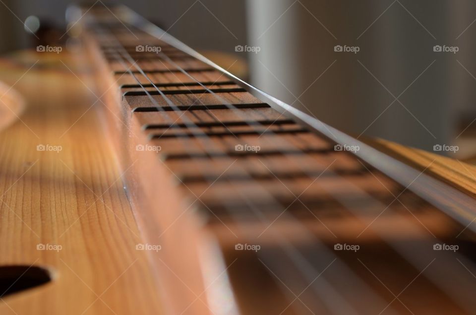 Stringed Instrument