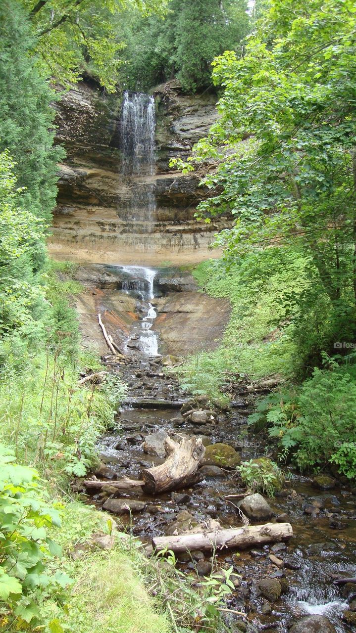 Waterfall Splendor