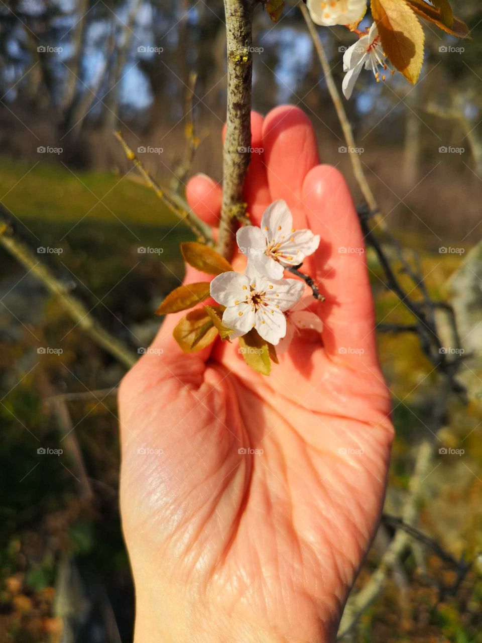 In Love with nature!