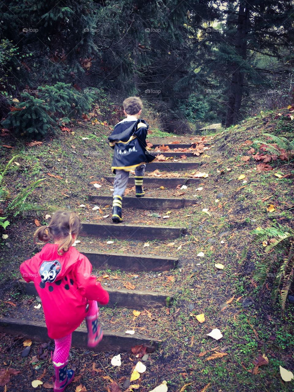 Children climbing forest steps 